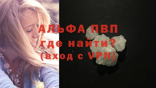 гидра Корсаков