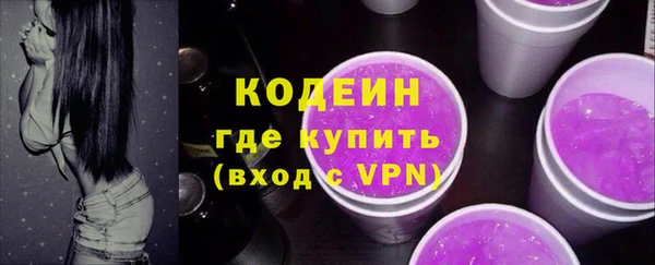 гидра Корсаков