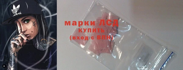 гидра Корсаков