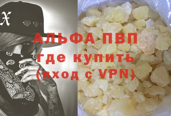 гидра Корсаков