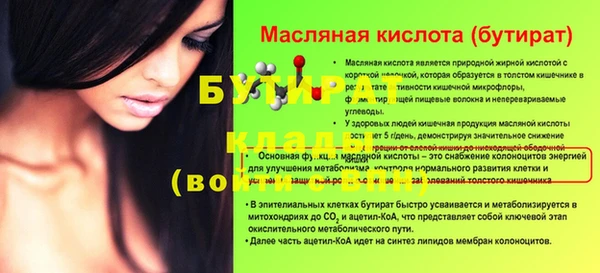 гидра Корсаков