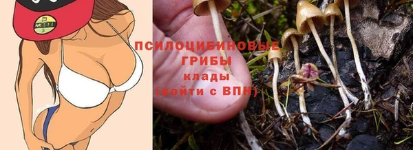 дмт Краснотурьинск