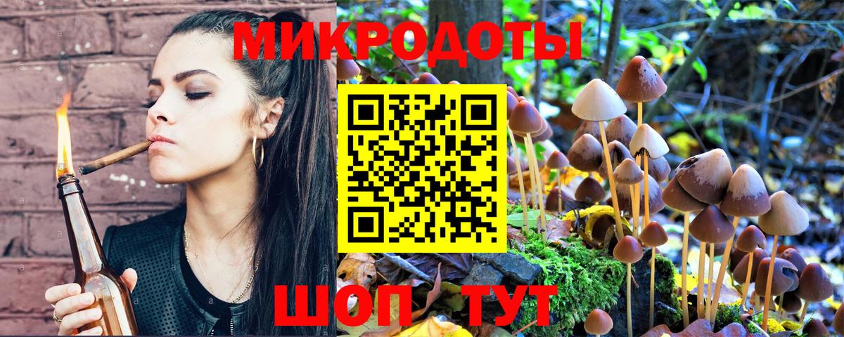 Галлюциногенные грибы MAGIC MUSHROOMS  Псилоцибиновые грибы прущие грибы  Отрадное  Вход с VPN 