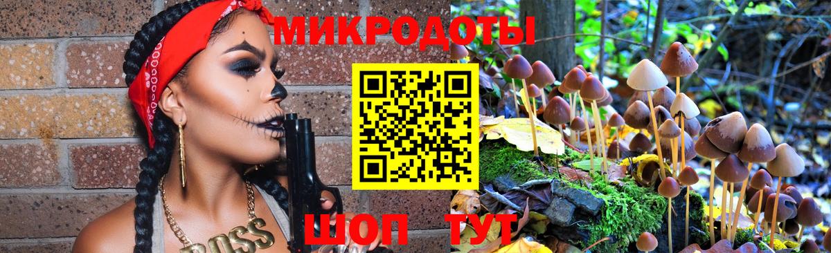 Галлюциногенные грибы прущие грибы Отрадное